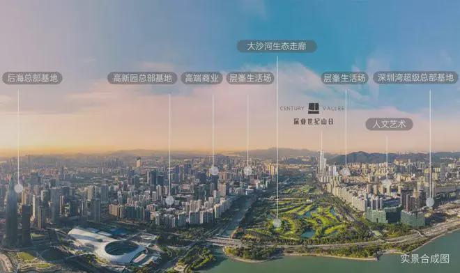 的璀璨明珠全面解析项目优势与投资潜力b体育·网站深业世纪山谷：深圳湾畔(图12)